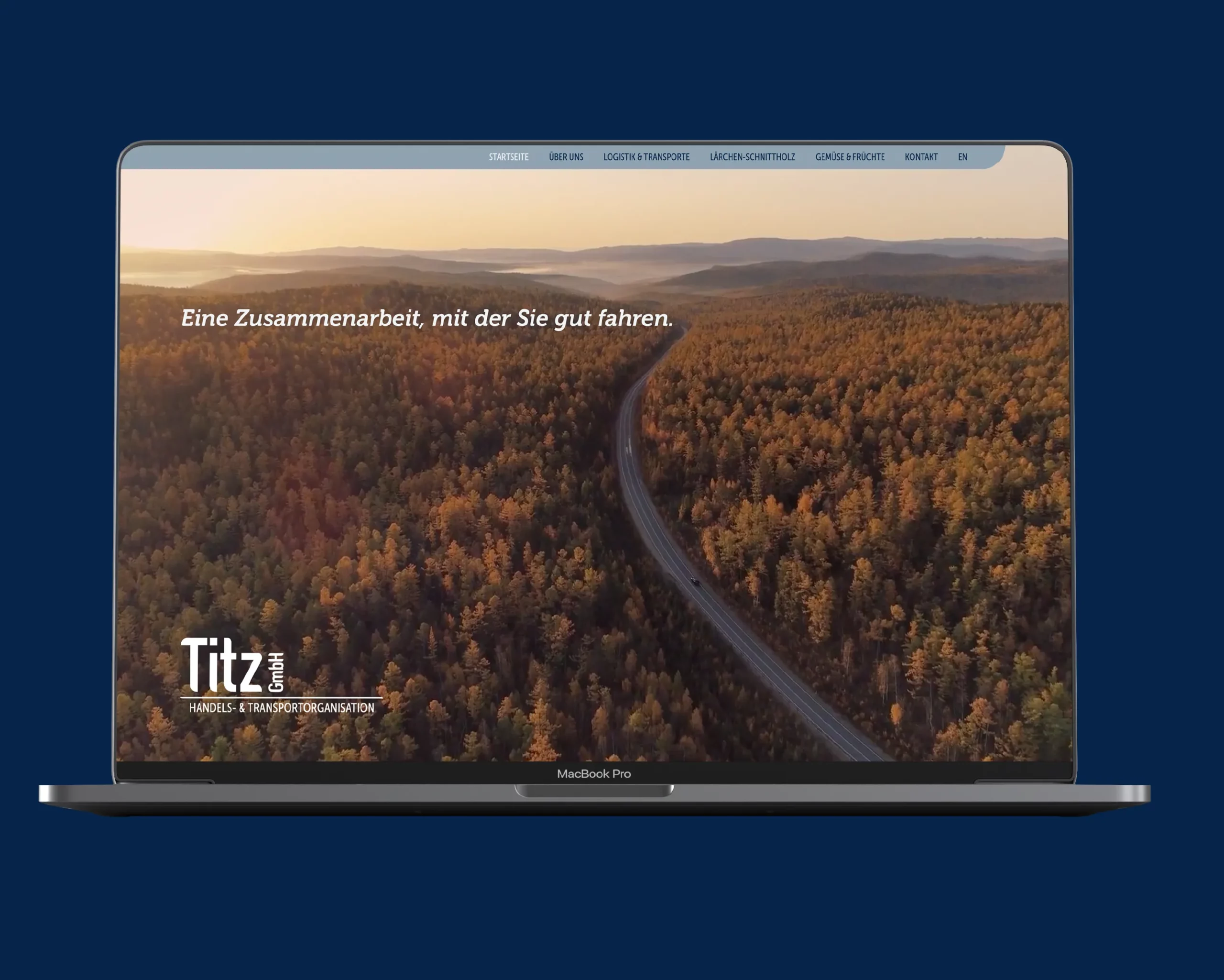 Titz Webdesign Landingpage Desktop